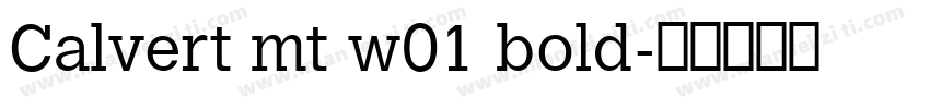 Calvert mt w01 bold字体转换